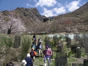 植樹場所へ