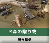 森の贈り物