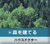 森を建てる