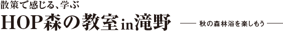 散策で感じる、学ぶ HOP森の教室in滝野 -秋の森林浴を楽しもう-