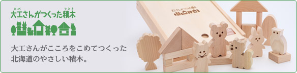 大工さんがこころをこめてつくった北海道のやさしい積木
